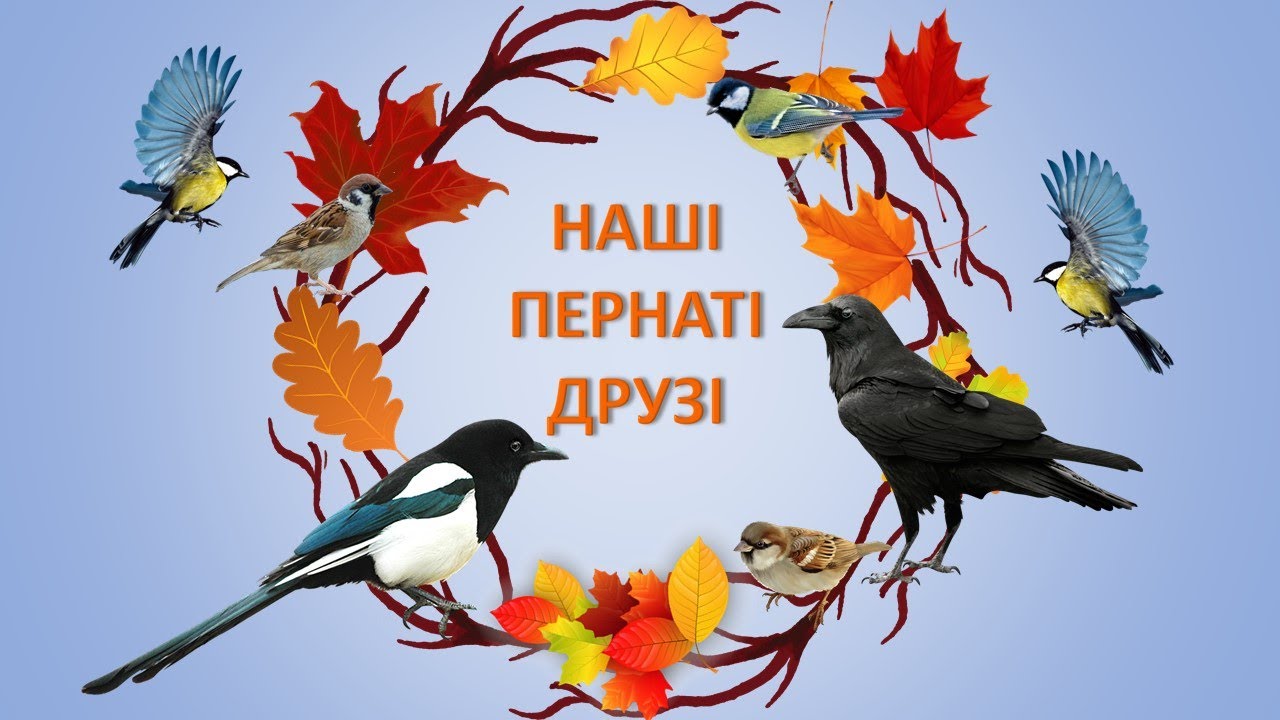 Дитина в природному довкіллі/ Мовлення дитини.  Тема:
