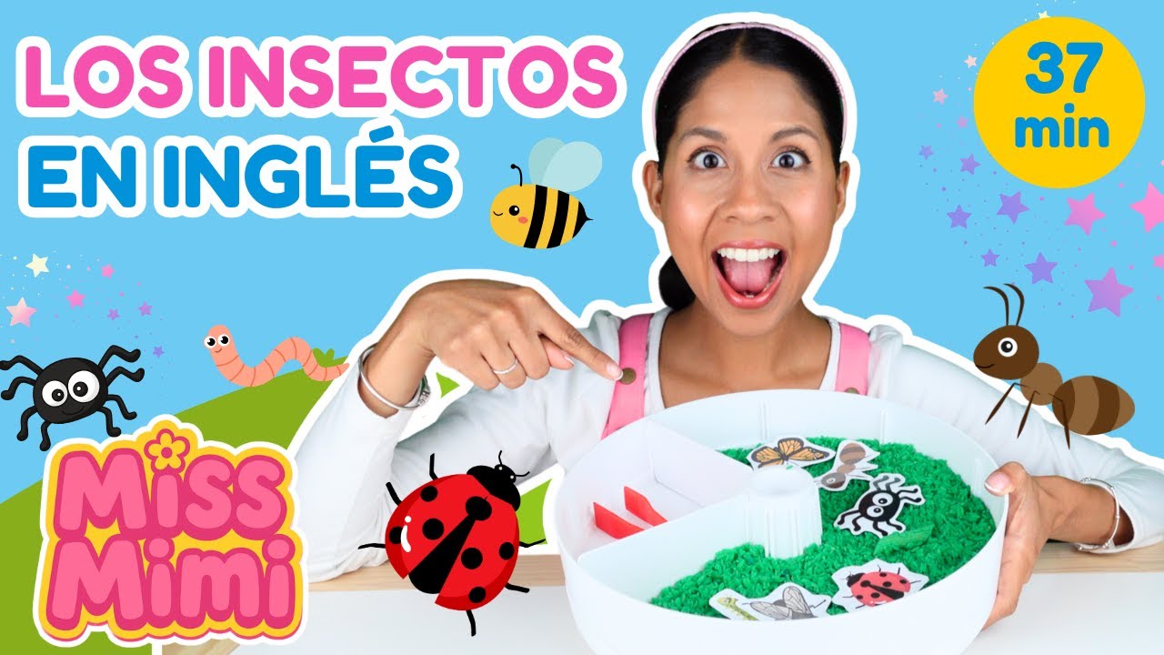 Los INSECTOS para niños con Miss Mimi | Videos educativos y actividades sensoriales para niños