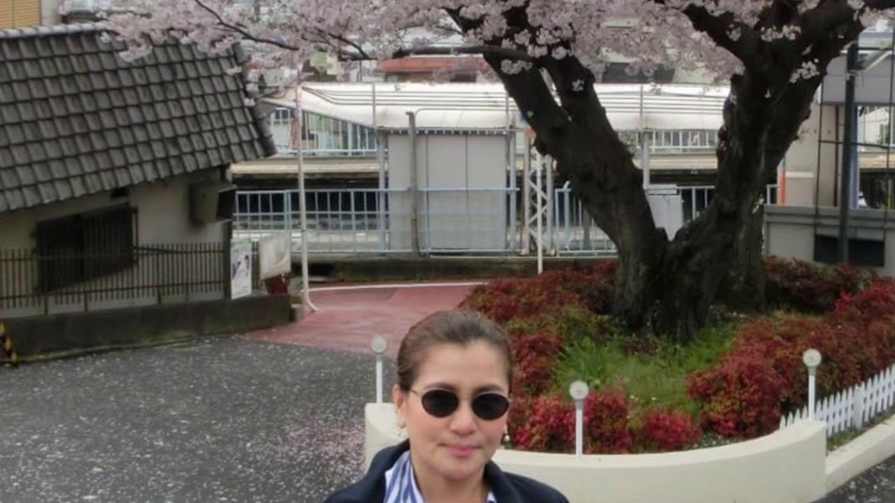 THE BEST SAKURA 2019