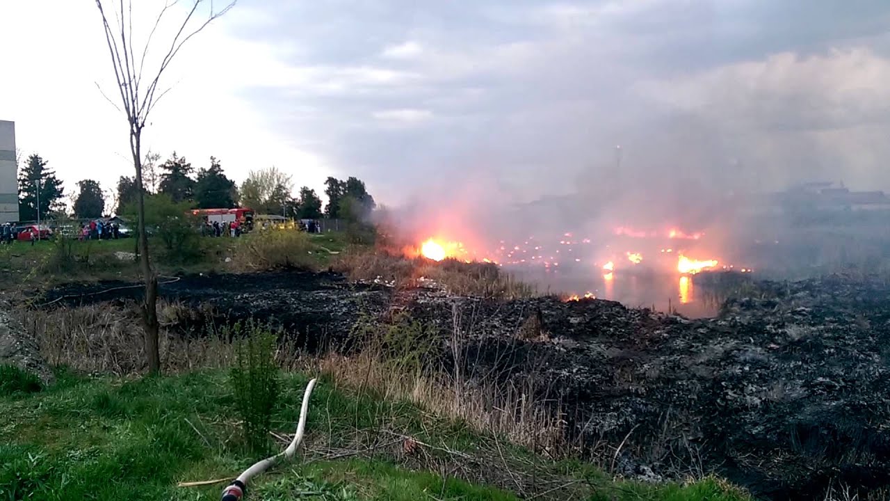 Lacul Cubic din cartierul Solidaritatii a luat foc