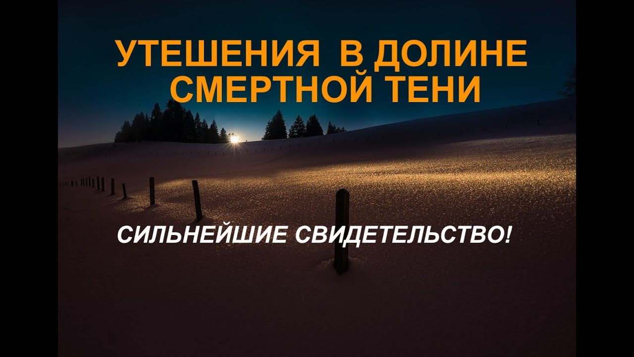 СИЛЬНЕЙШИЕ СВИДЕТЕЛЬСТВО! - Вячеслав Бойнецкий