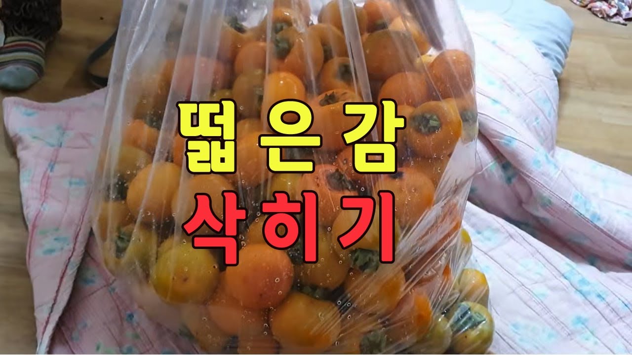 Насладитесь сладким и хрустящим вкусом ферментированной хурмы с двумя бутылками соджу. Вот как фе...