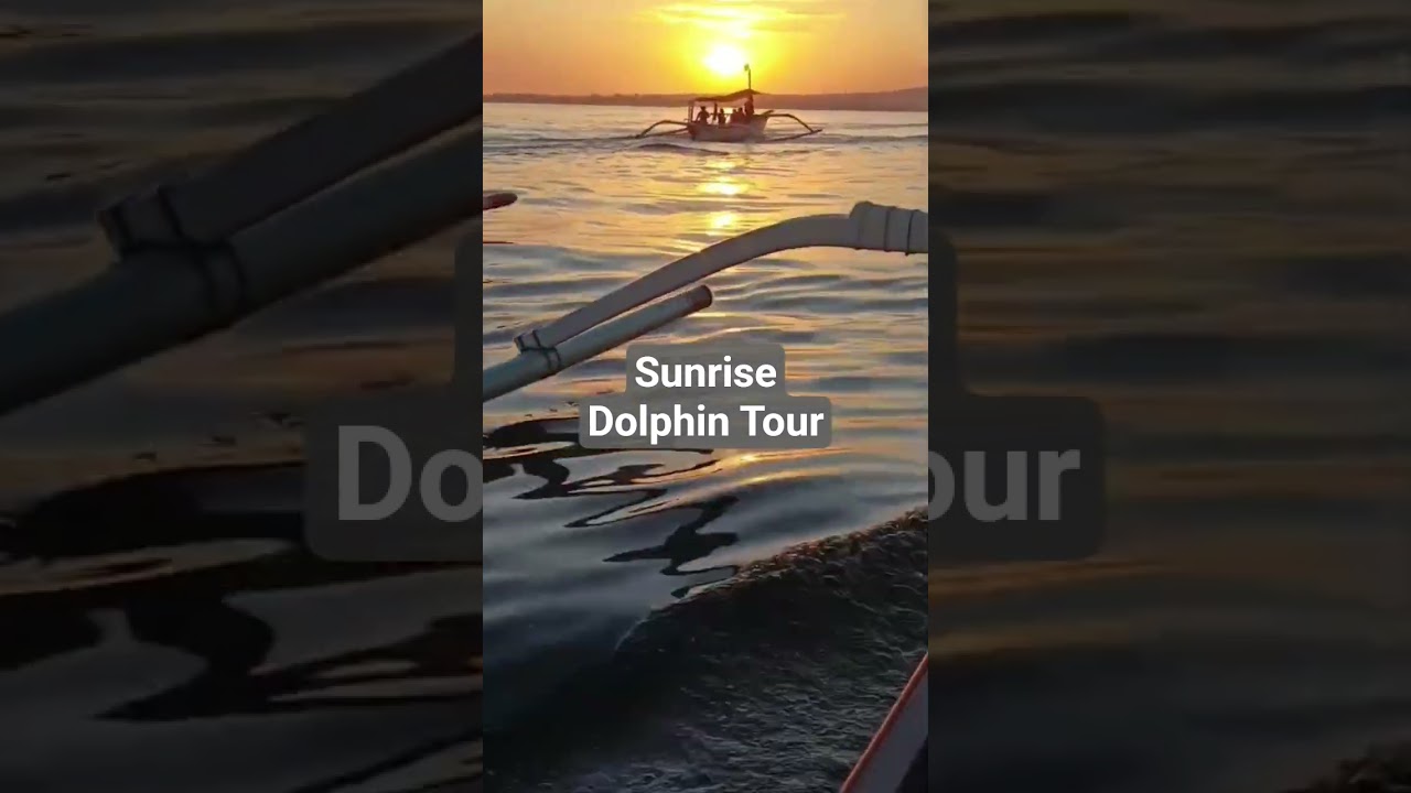 Bali Morning Dolphin Tour &ndash; Sunrise at Sea 🌊🐬  #nature #adventure #ocean #dolphin #bali
