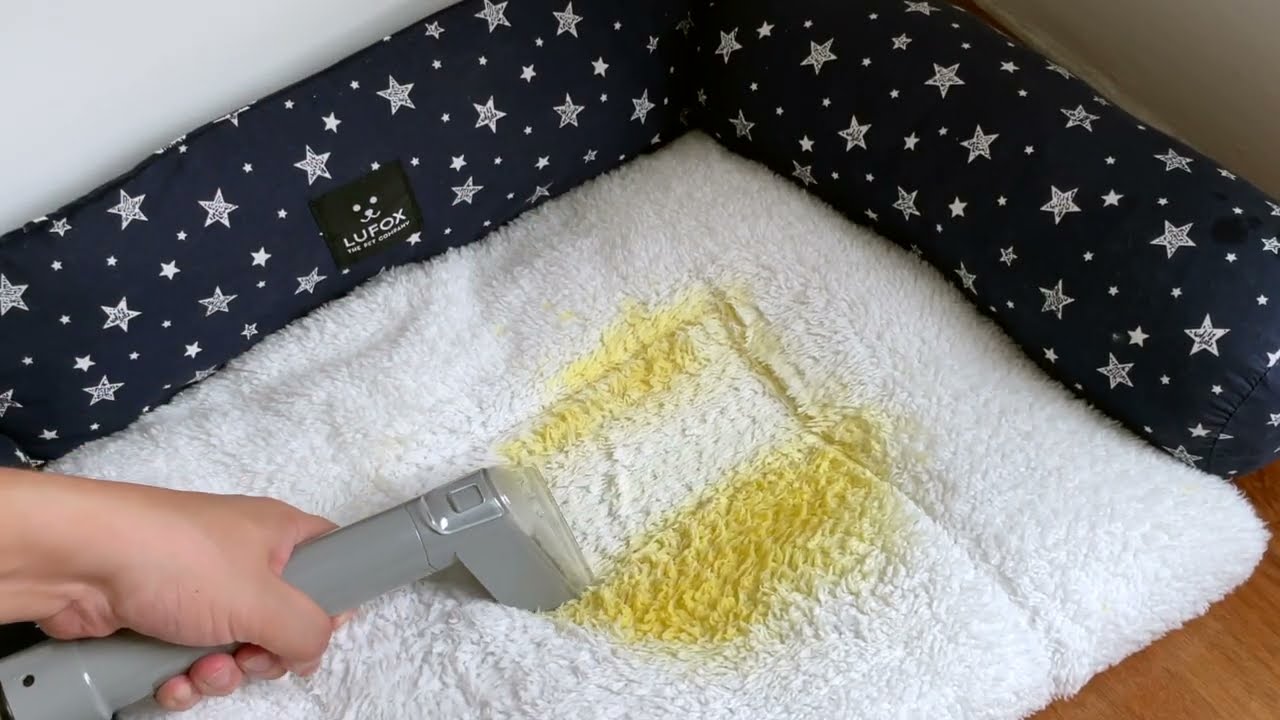 Corvan Spot Cleaner S6 (Official Video)