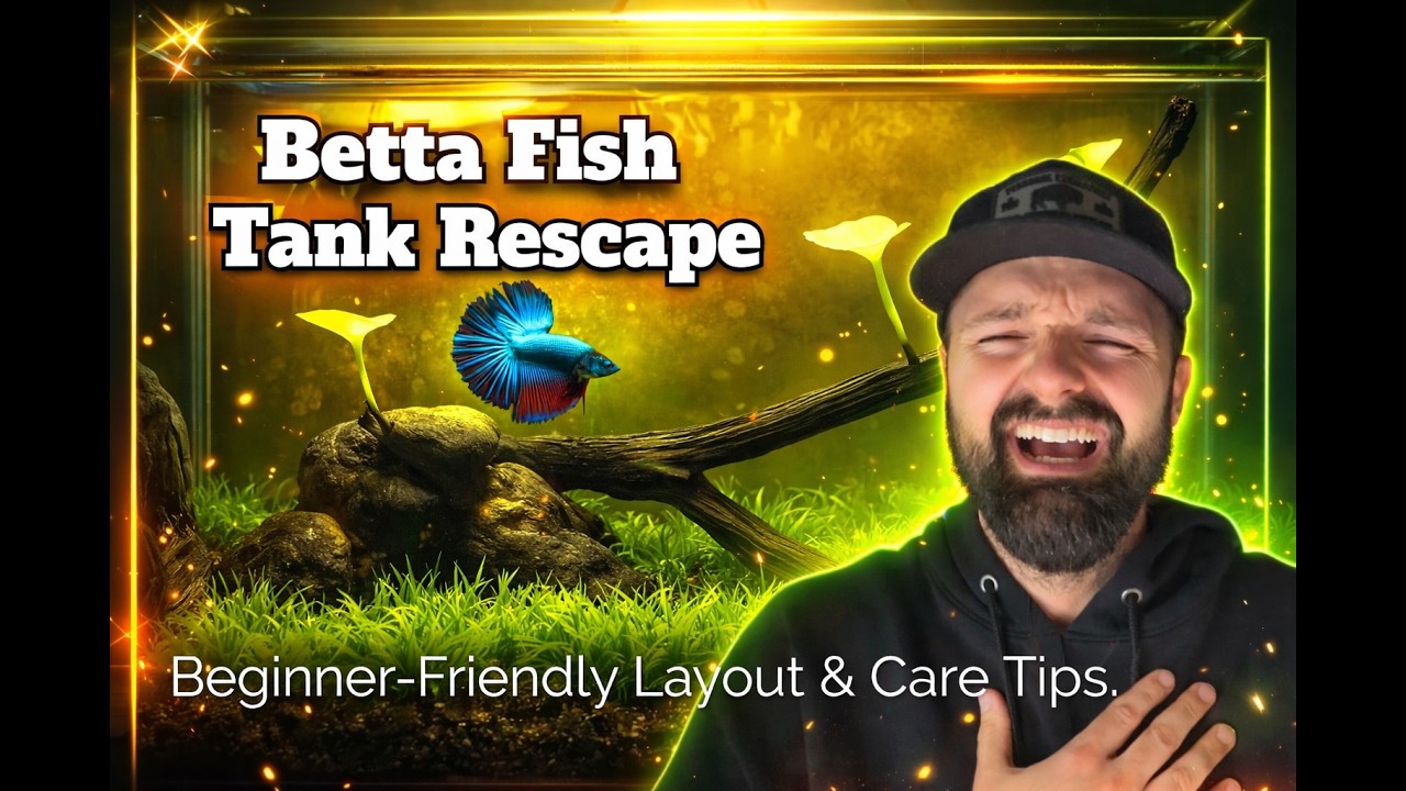 I Tore Down My Old Tank & Rescaped a 5 Gallon Aquarium (Beginner Setup)