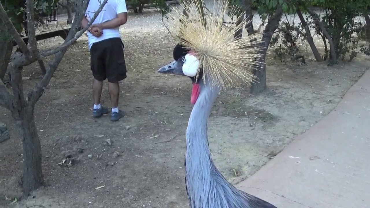 LA PEQUEÑA AFRICA