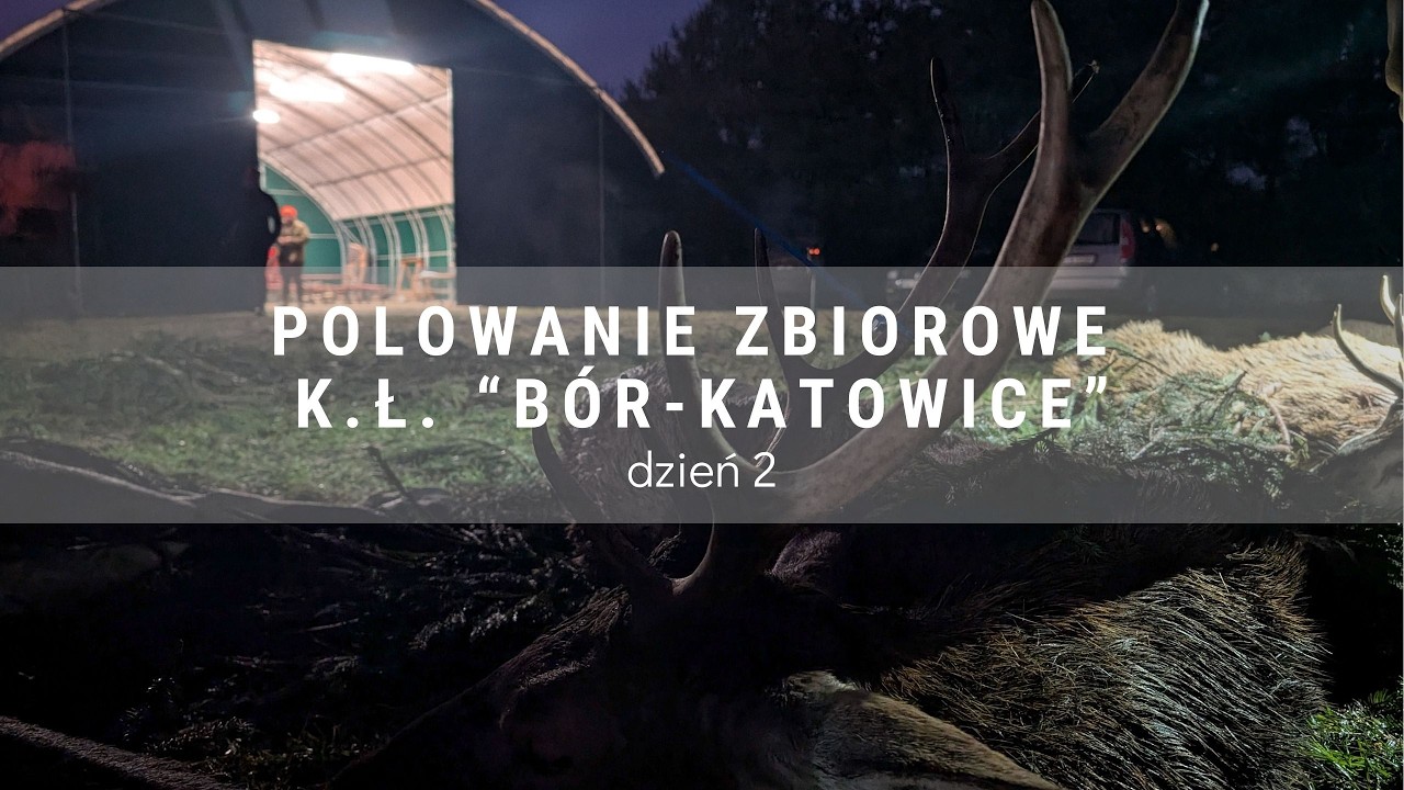 DIANA BYC 7/2026 Polowanie zbiorowe K.Ł. 