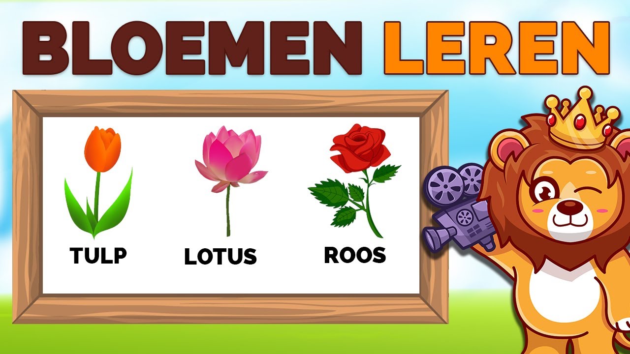 Bloemen Leren Herkennen 🌻🌹 | Educatief Kinderfilmpje | NL Gesproken ✅