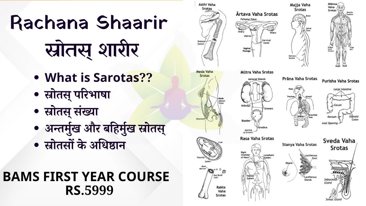 Rachana Shaarir - Srotasa Sharir Lecture 01 || स्रोतस- Anatomy || #bamsfirstyear #Rachanashaarir