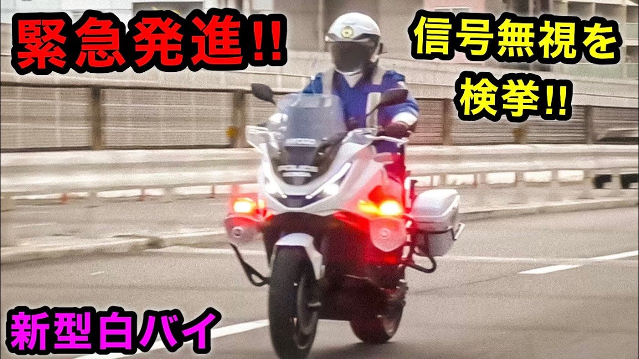 【白バイの緊急発進‼️】信号無視を捕まえる瞬間 ２連発‼️　[サイレン]