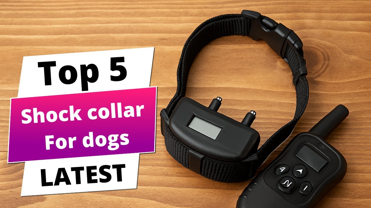 ✅ Best shock collar for dogs: Shock collar for dogs (Buying Guide)
