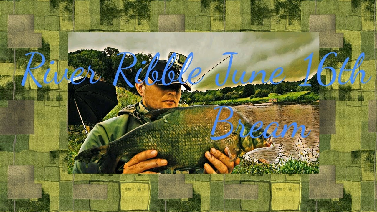 River Ribble Fishing Diaries Day 1. Bream