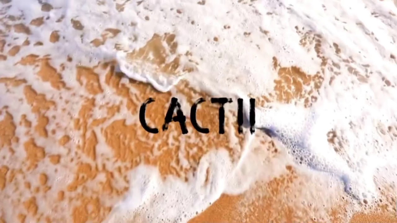 Cactii - We Almost Made It [Conscious Electronic Premiere]