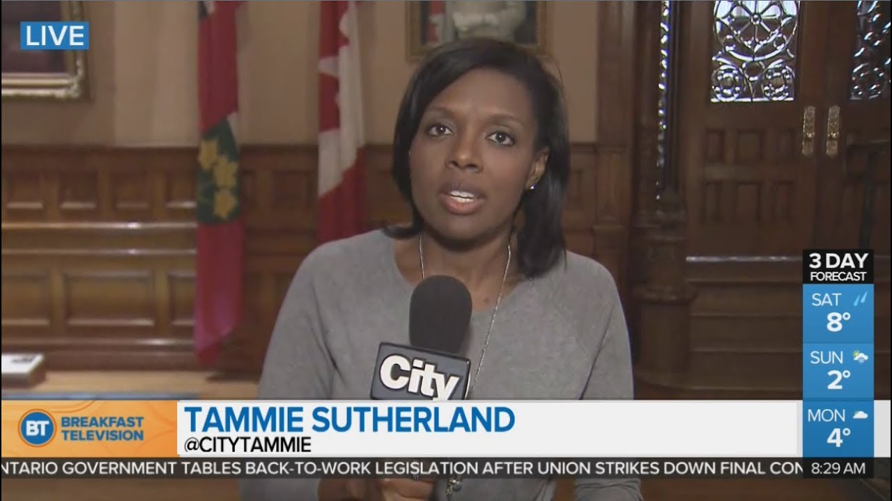 Ontario College Strike - Day 32 - BT's Tammie Southerland explores the three sides - November 2017