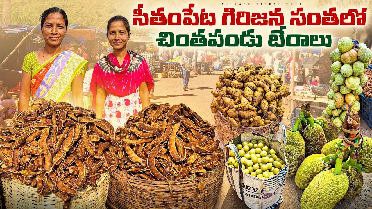 సీతంపేట గిరిజన సంత || seethampeta tamarind market || seethampeta santha