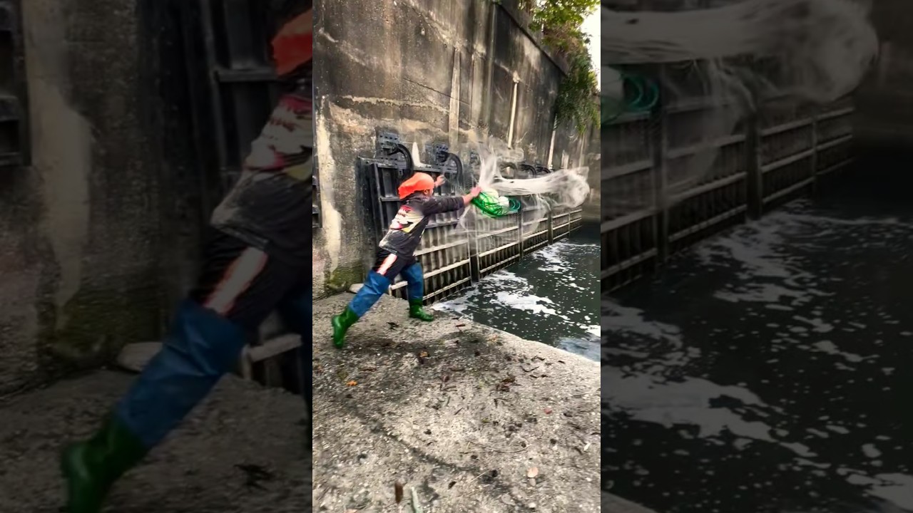 net fishing in village river, fish, fishing, cast net fishing#fish #video #viral
