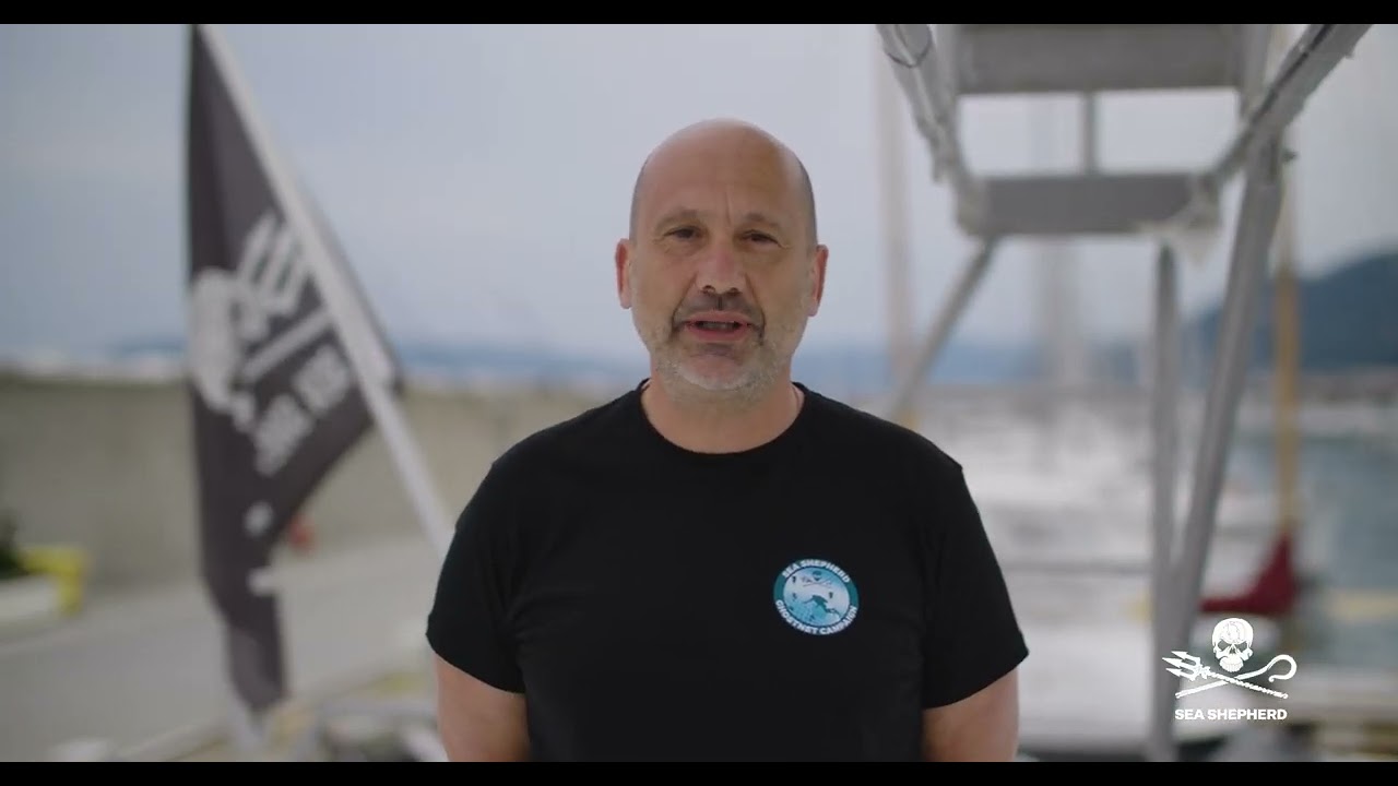 Ghostnet 2023: Punta Manara.
