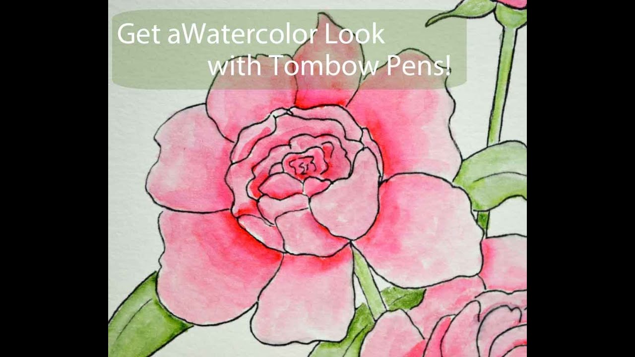Coloring Peonies with Tombow Pens