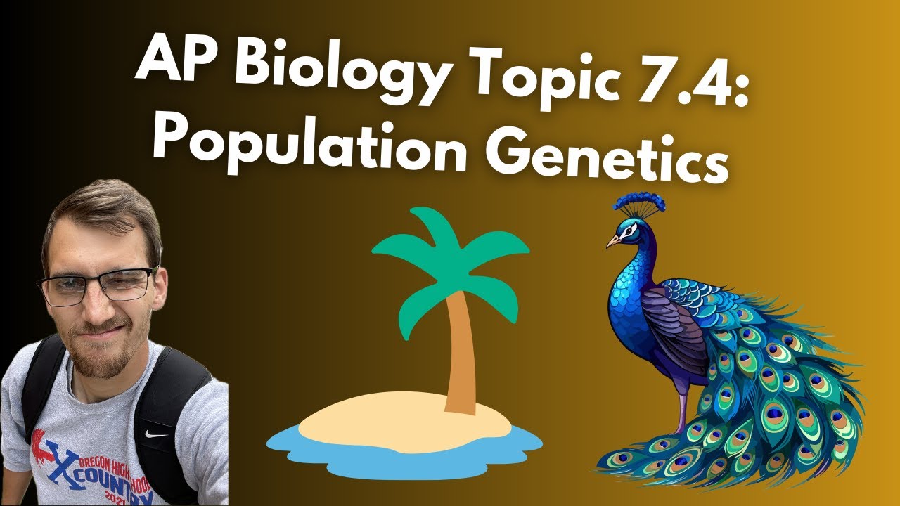 (2019 curriculum) 7.4 Population Genetics - AP Biology