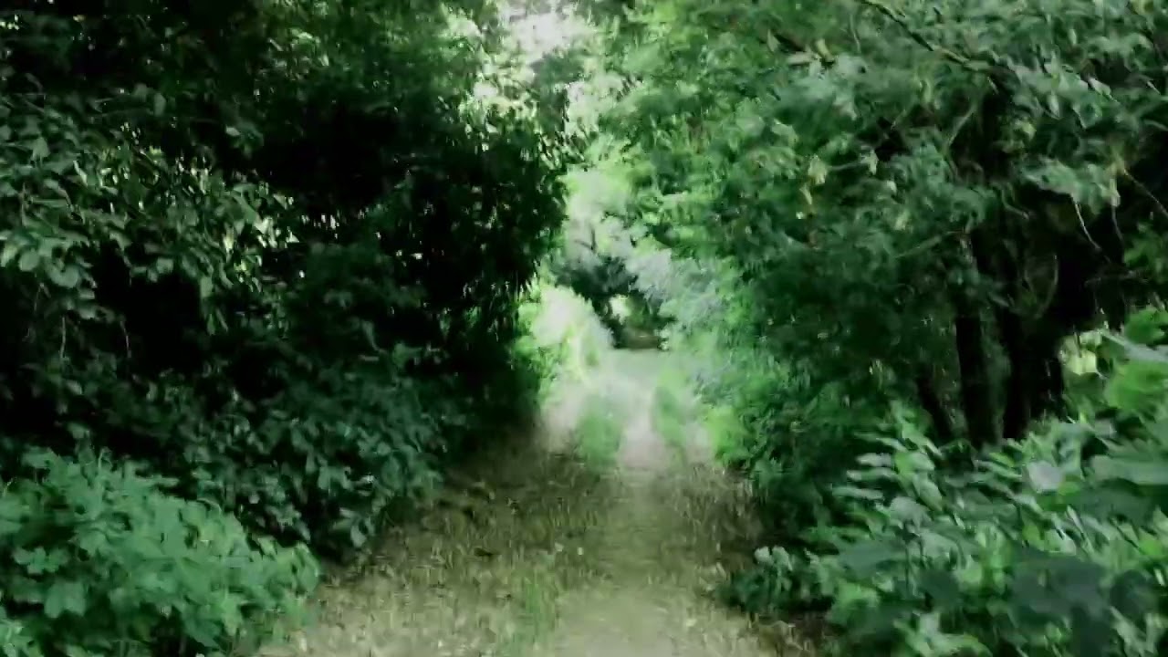 Relax video antidepressant