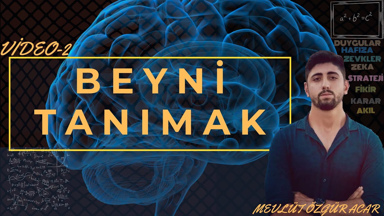 BEYNİ TANIMAK (Beyin yapısı ve fonksiyonları video-02)