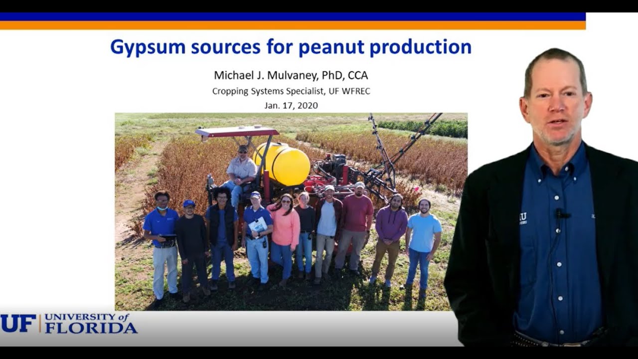 Gypsum Sources For Peanut Production with Dr. Mike Mulvaney
