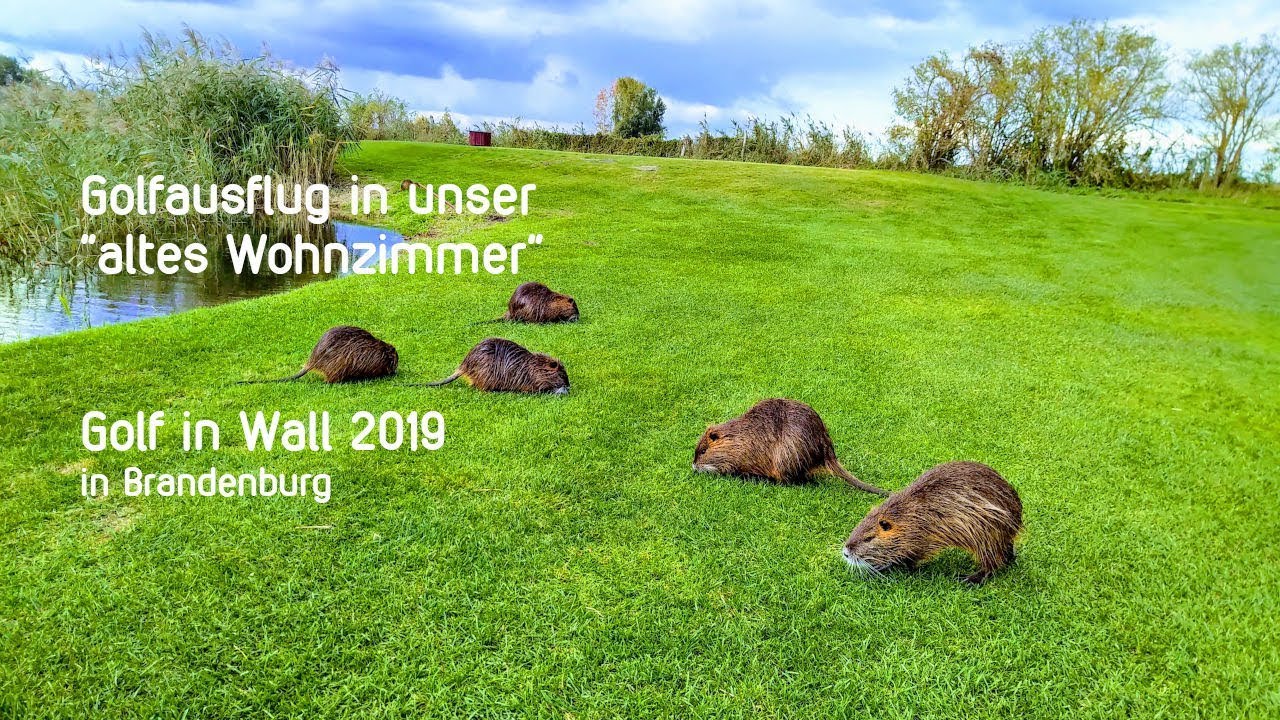 Besuch des alten Wohnzimmers - Golf in Wall 2019