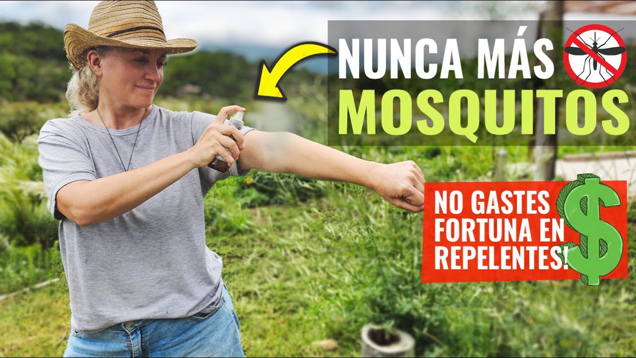 5 REPELENTES Caseros! Contra Mosquitos, Moscas y Tábanos! Biologico y Efectivo! ✅♻️😊