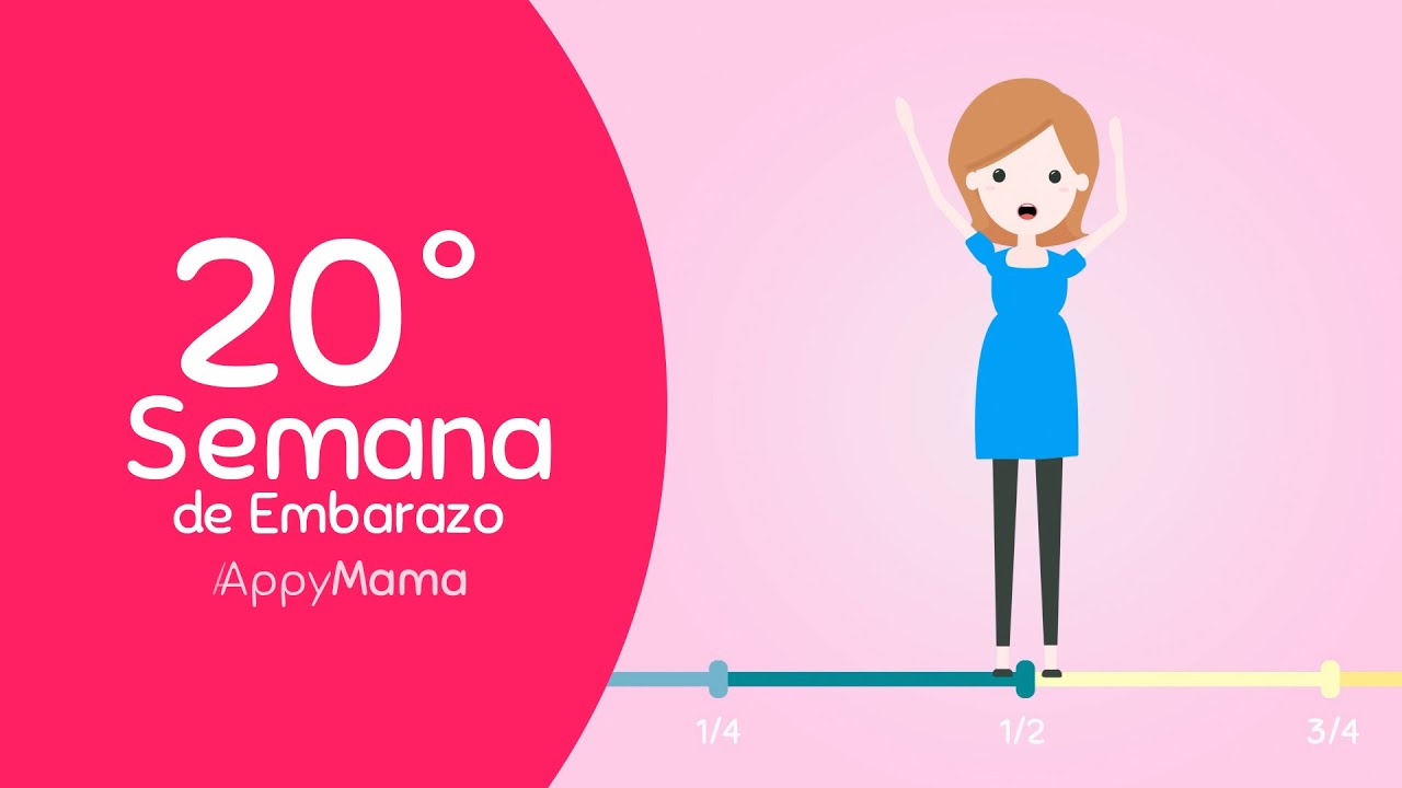 Semana 20 de 