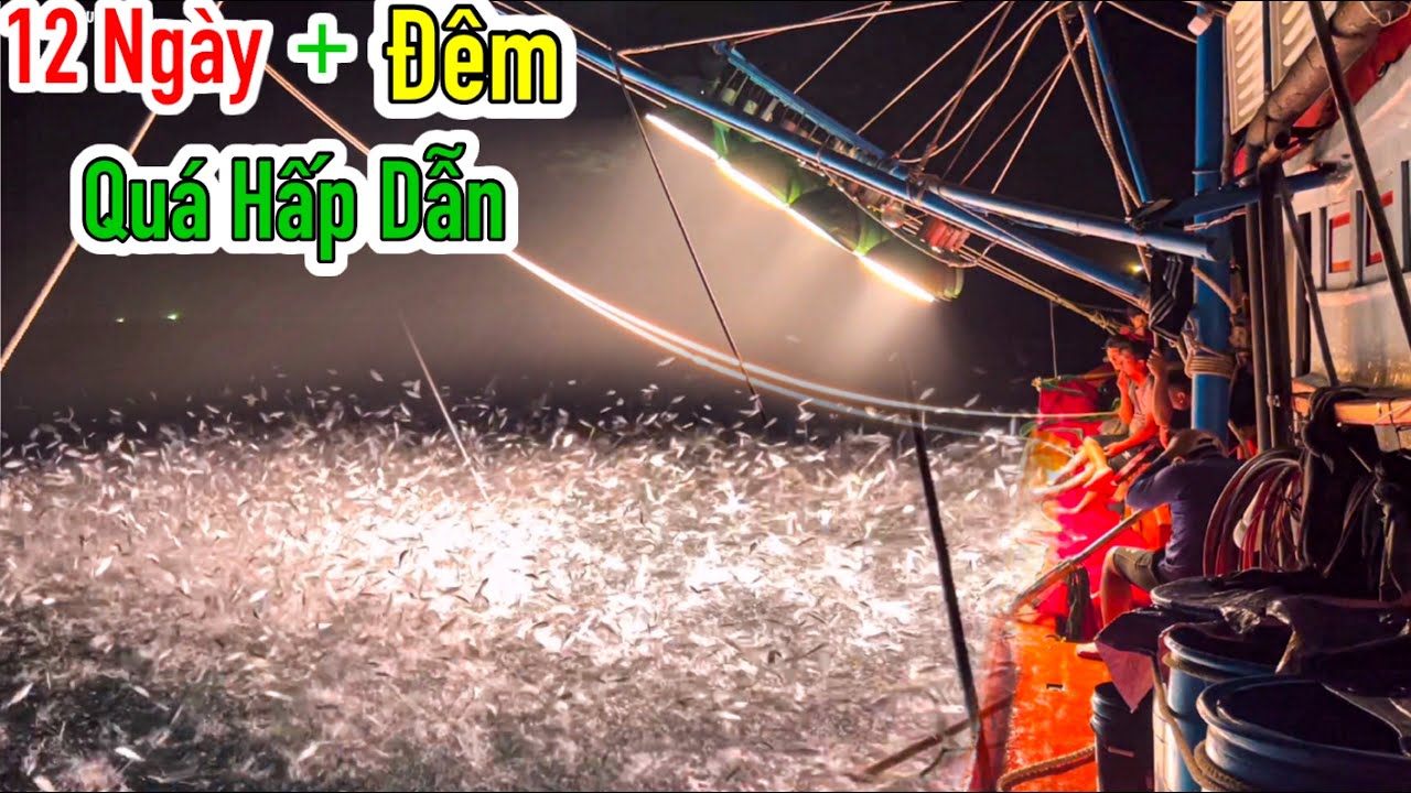 Full 12 Ngày Đêm Trải Nghiệm Nghề Pha Xúc | Tổng Quát Về Nghề Pha | Sơn Phú Quốc
