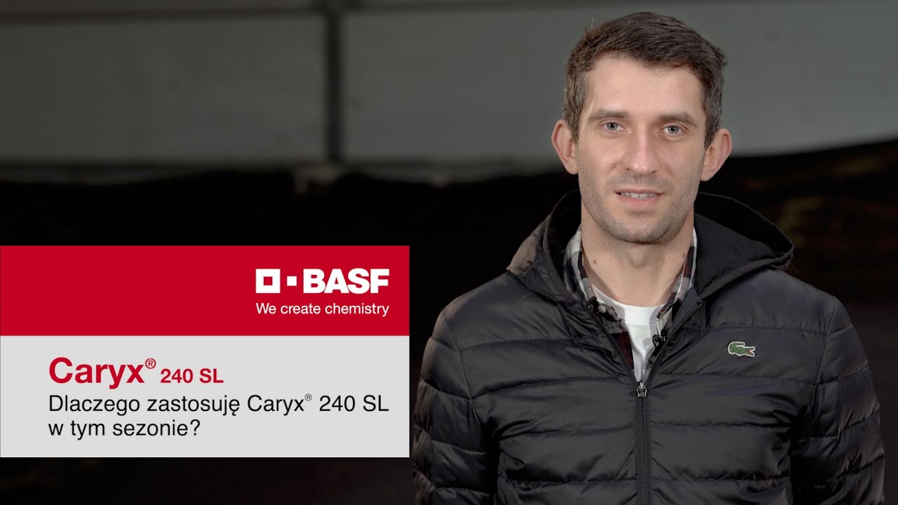Czym warto wykonać oprysk rzepaku na choroby grzybowe?