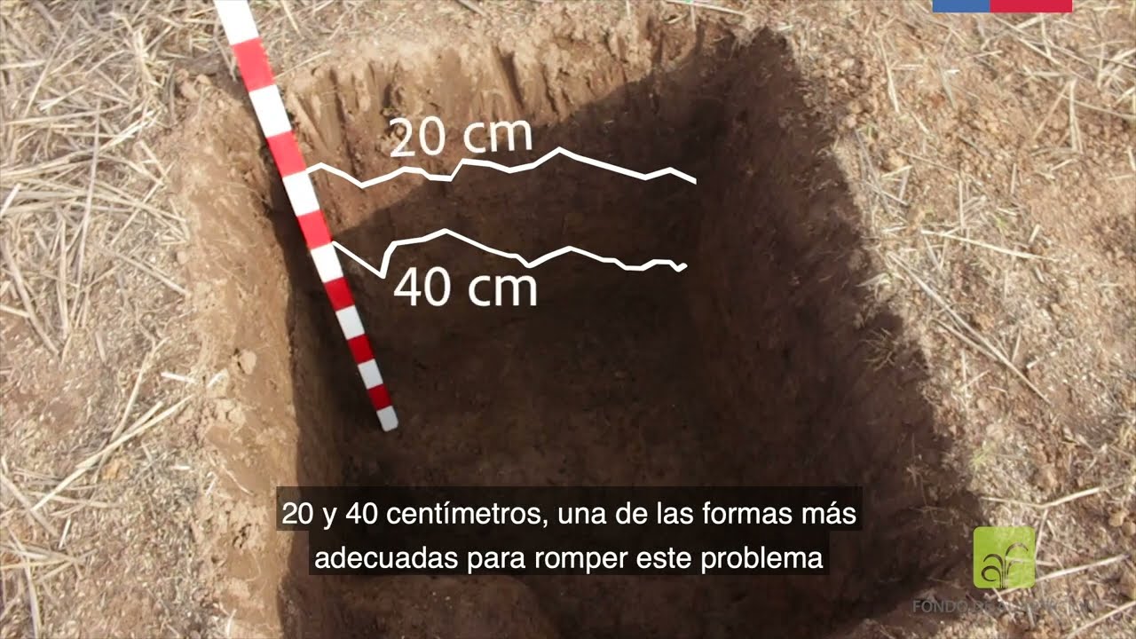 ORIGEN DE LA COMPACTACIÓN DE SUELO / Adaptación al Cambio Climático en Región de O'Higgins