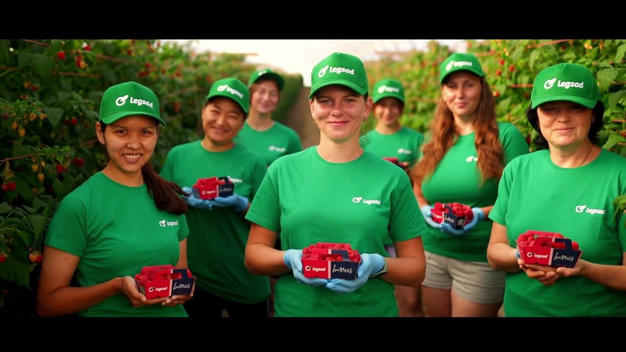 Legsad Fruit Farm &ndash; sezon 2023 (UKR)