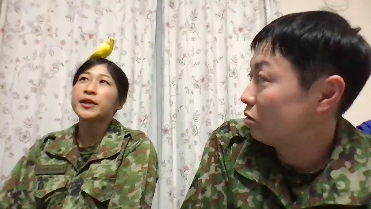 トッカグン小野寺 大阪上陸！ちっぴぃちゃんズと生配信！