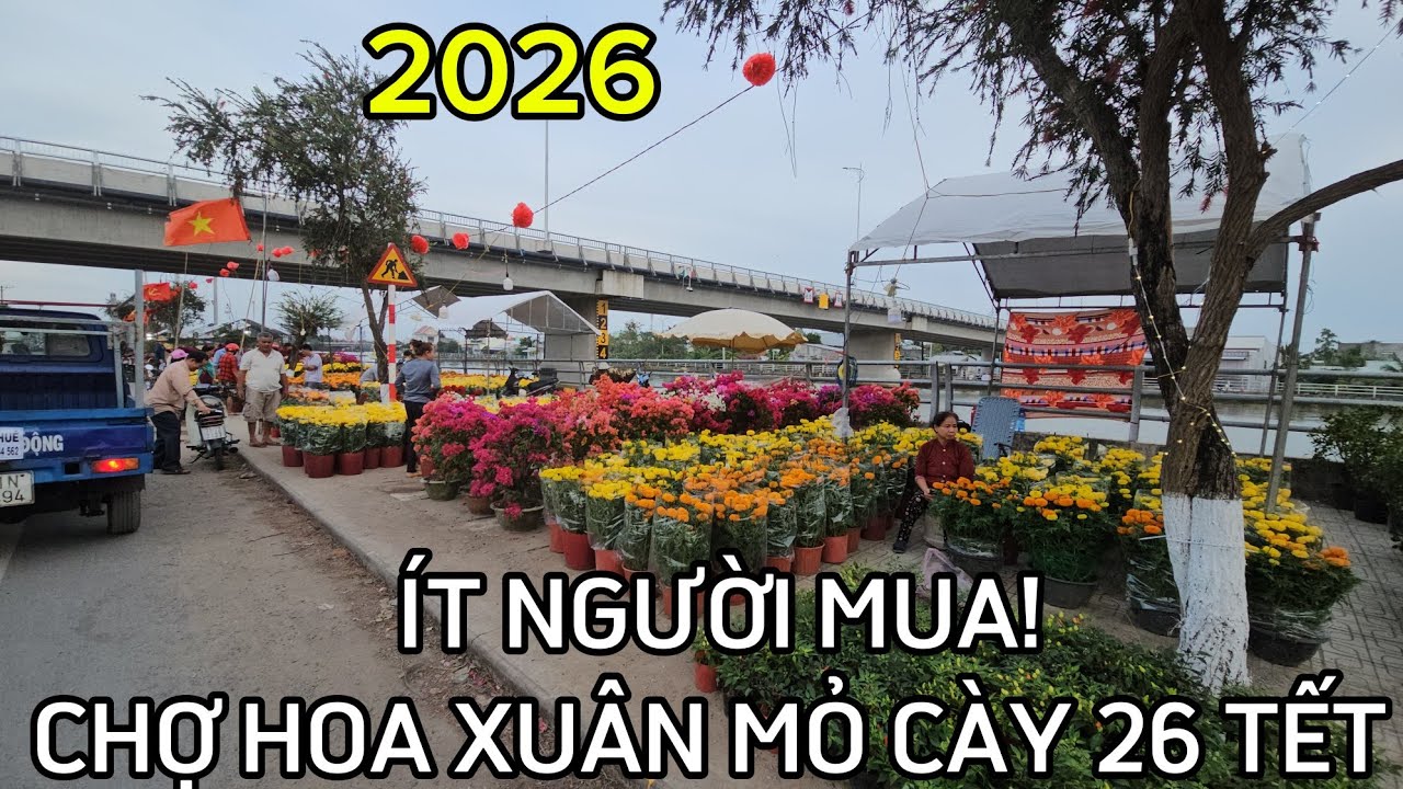 Ít người mua! Chợ hoa xuân Mỏ Cày 26 Tết 