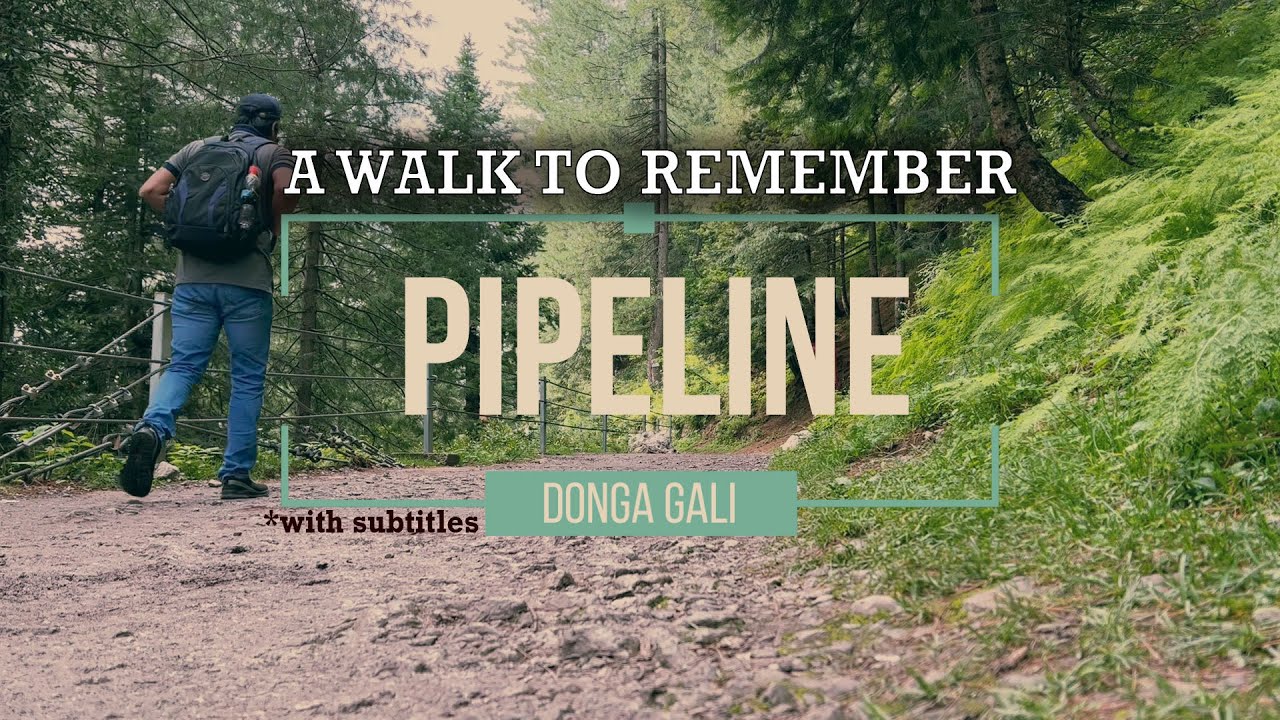 Exploring the Scenic Pipeline Track and Playful Encounters with Pigs Outside Our Hotel!