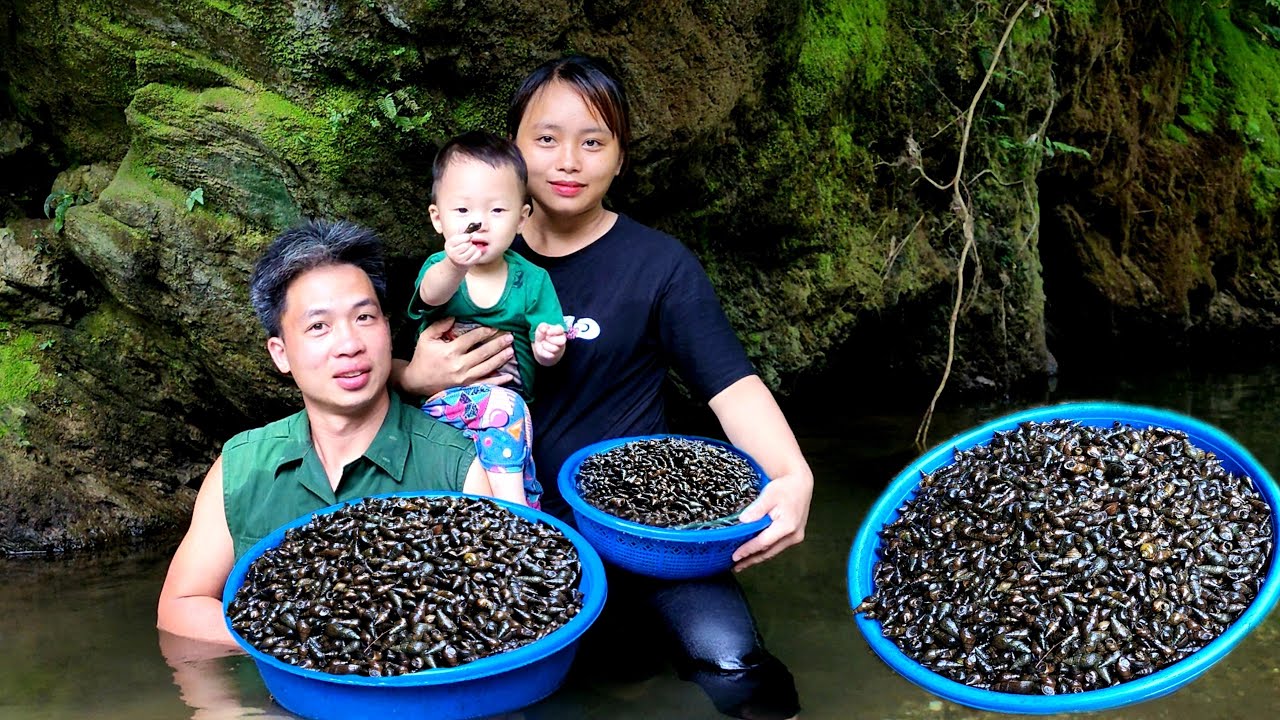 FUll VIDEO : 90 Days of Catching Snails, Shrimp, Crabs, Frogs and fruits to sell at the market