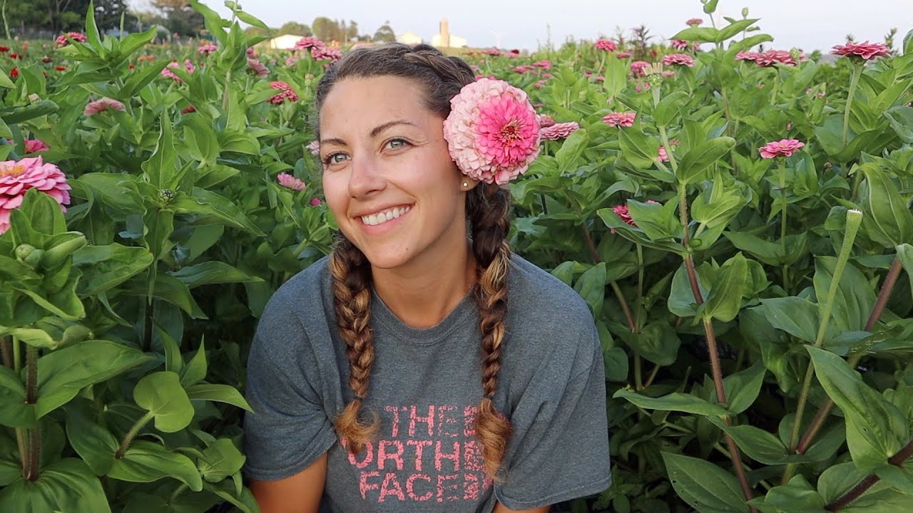 An Evening Walk Through the Flower Field
