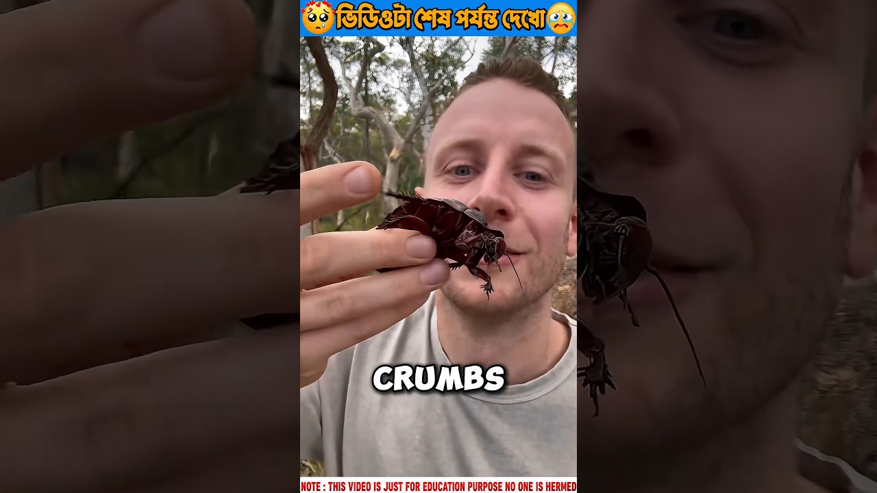😱 Cockroach Leg Under the Microscope Will Shock You! 🔬🪳#facts #amazingfacts