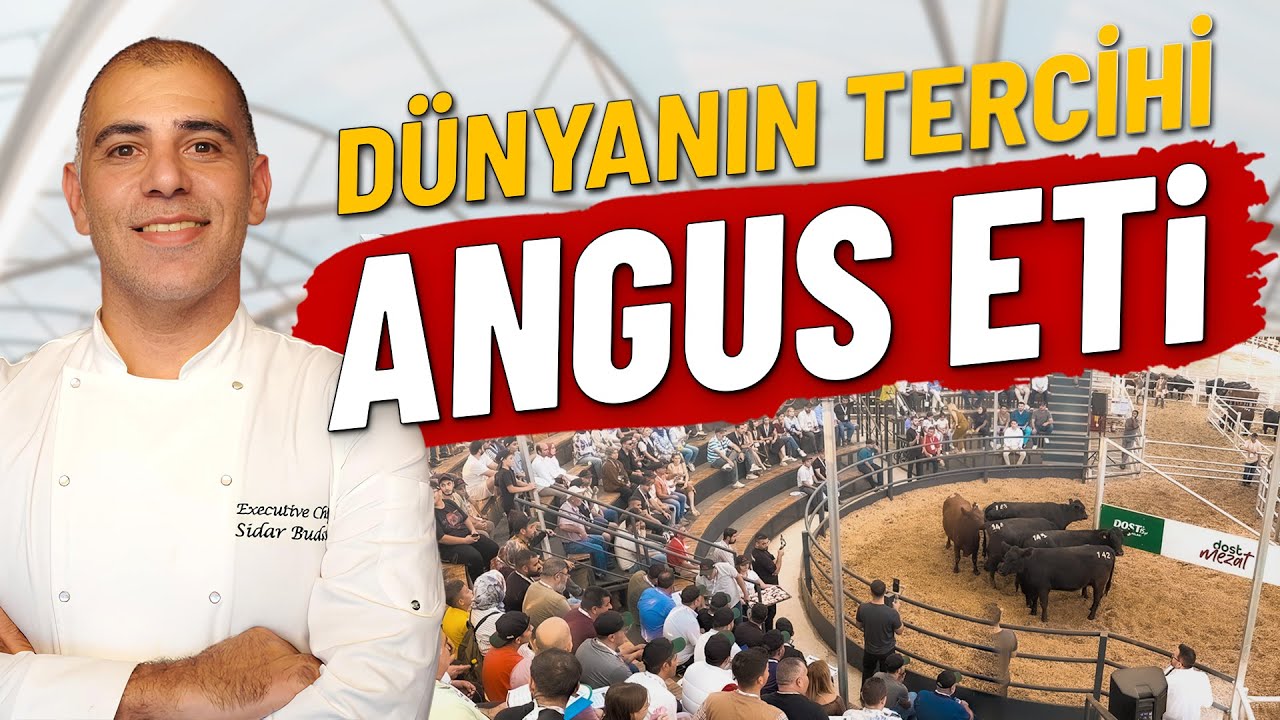 Dost Mezat Akademi | Şef Sidar Budak | Angus Etinin &Ouml;nemi