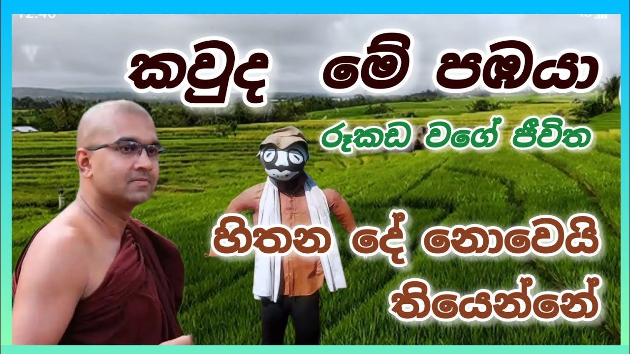 Watagoda Maggawihari Thero ❤️ Most Ven ❤️ කවුද මේ පඹයා, රූකඩ වගේ ජීවිත ❤️ SADISA TV