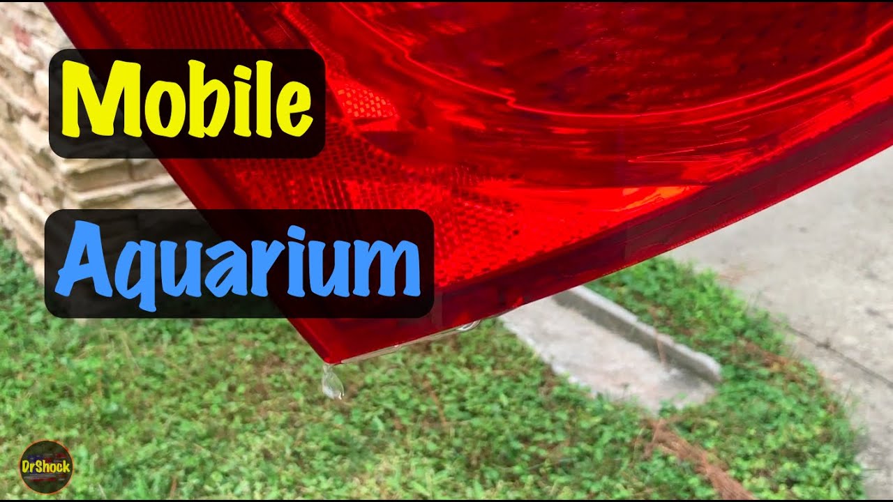 2005 - 2010 GM Rear Tail Lamp Housing Rainwater Intrusion Repair (Chevrolet Cobalt & Pontiac G5)