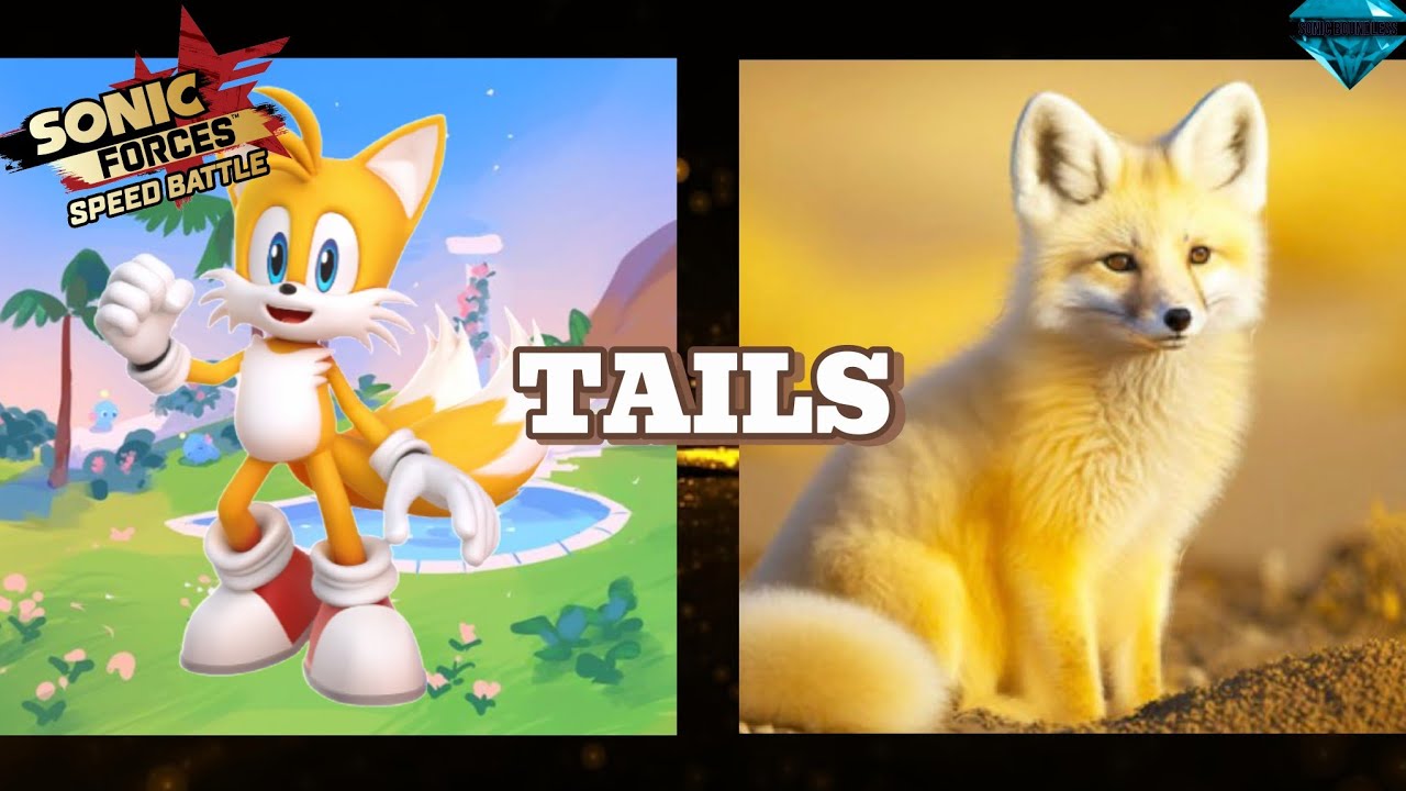 SONIC CHARACTERS IN REAL LIFE: Sonic Forces (SFSB)