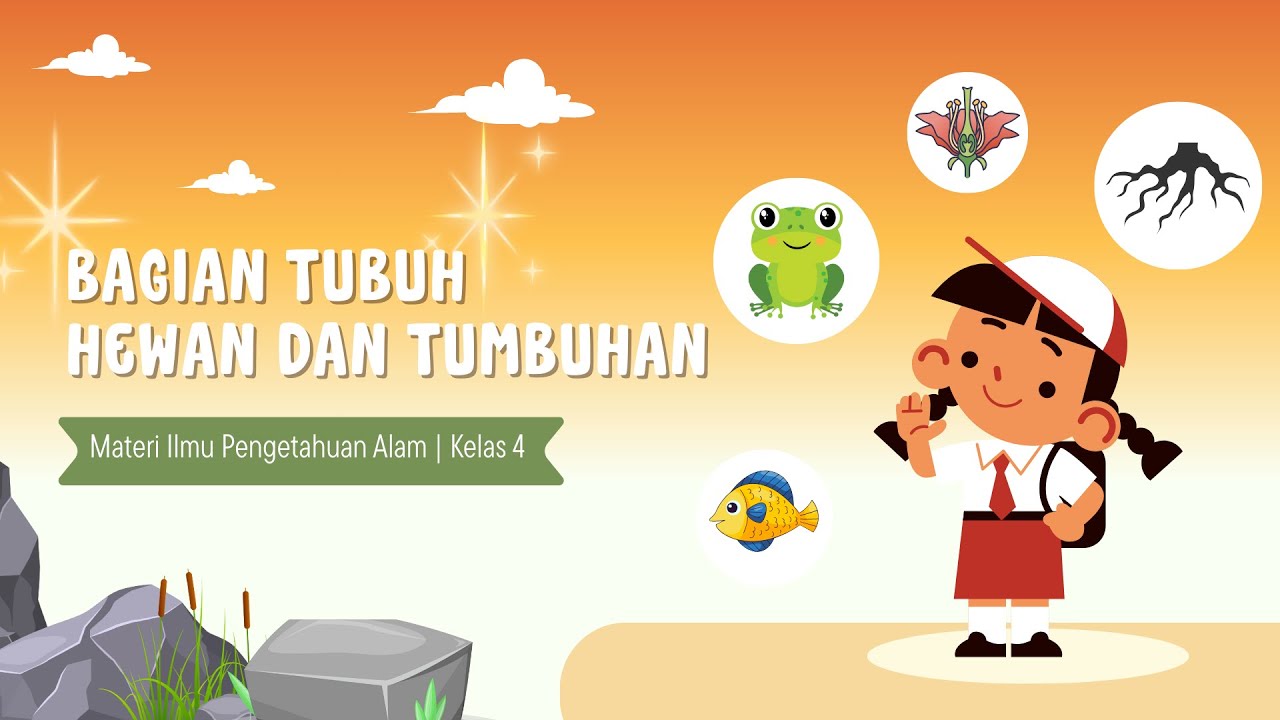 Video Pembelajaran Bagian Tubuh Hewan & Tumbuhan