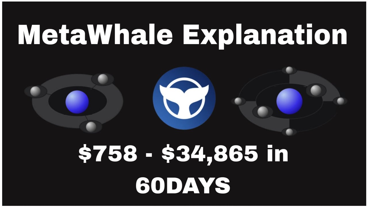 How to earn from #MetaWhale T&S