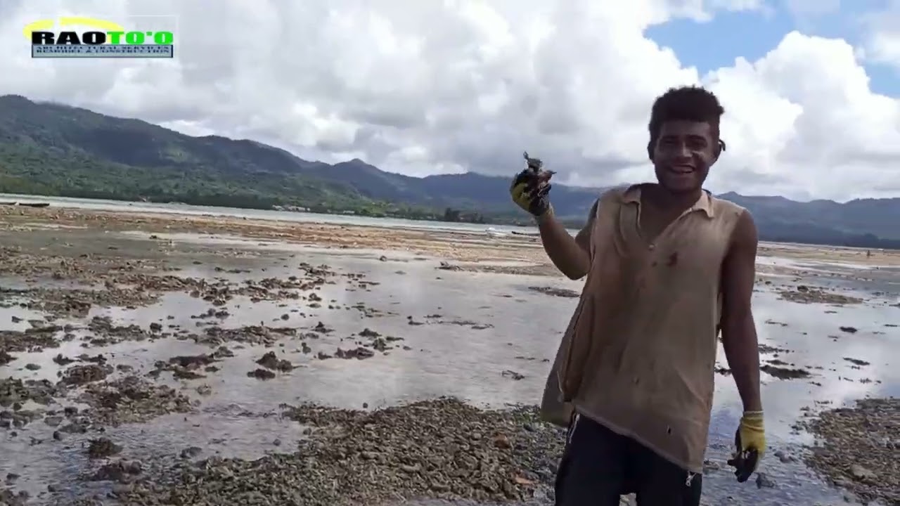 ROI ROA FT MANASU SEAWALL