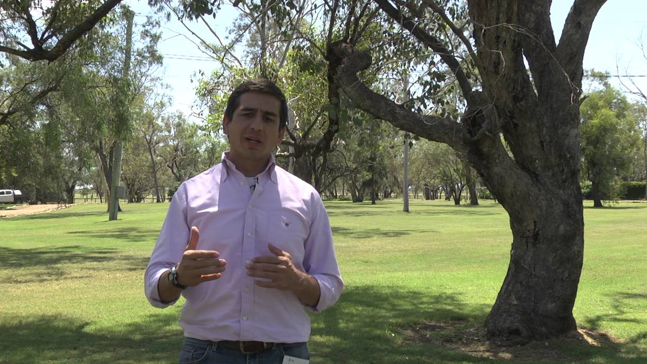 What are enhanced efficiency fertilisers?