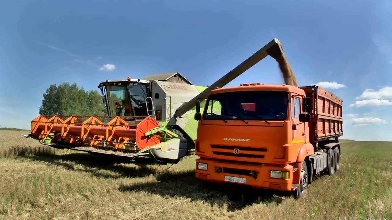 Что будем сеять и сажать в 2026 г.