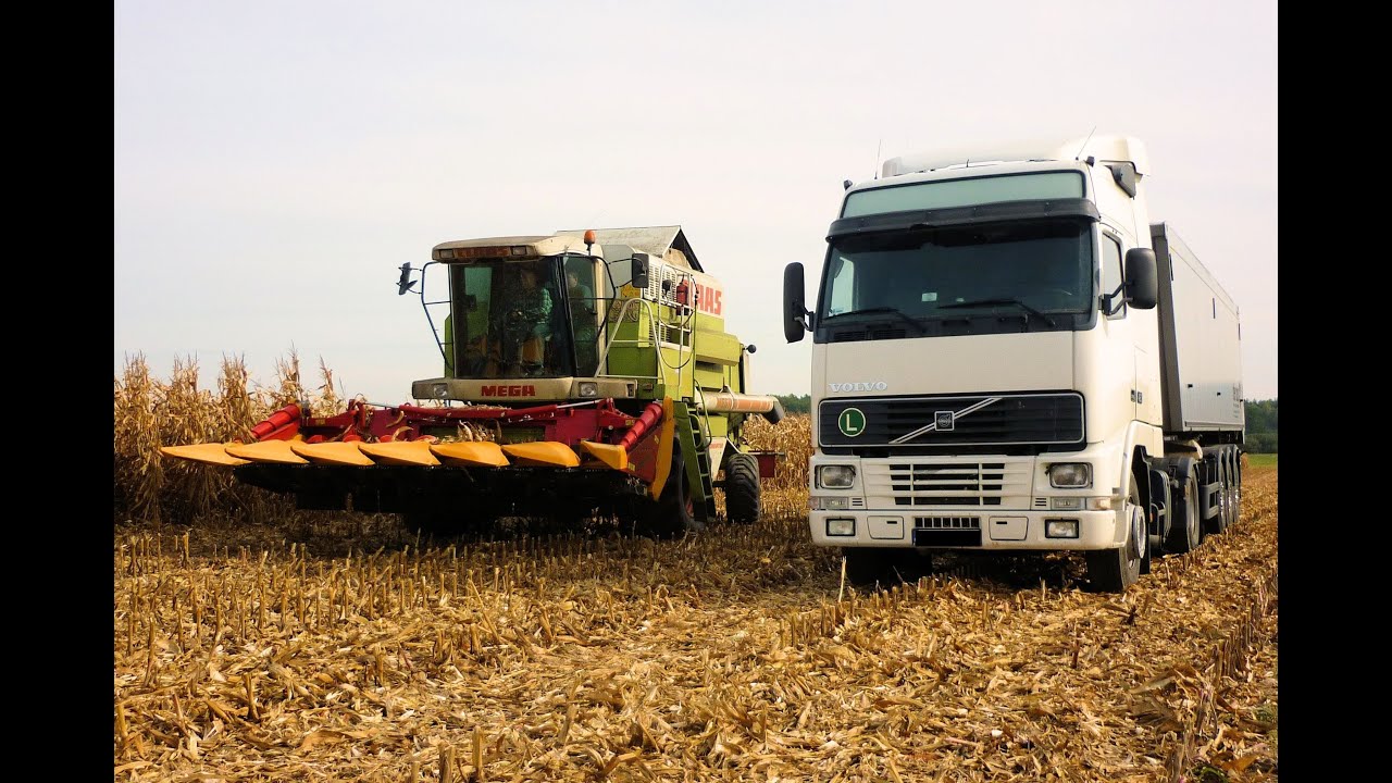 Koszenie Kukurydzy na ziarno Jaszkowo 2013 [Full HD] /Claas Mega 218/ New Holland/ Ursus