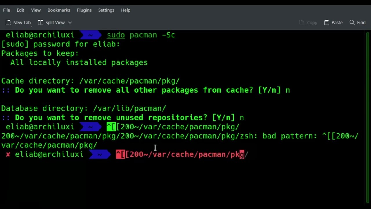 Clean up your cache on Arch Linux